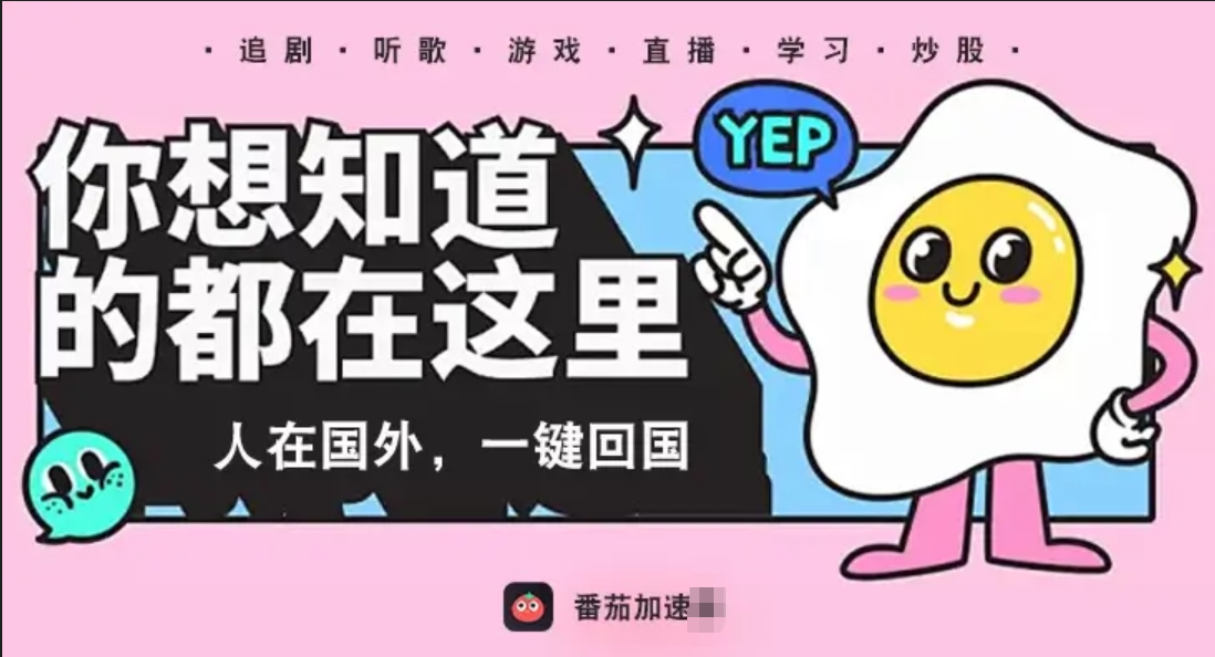 vpn国内推荐教程